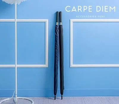 골프우산 판촉물 빠른 제작 가능한 업체 3 카르페디엠 75 경량 카본 골프우산